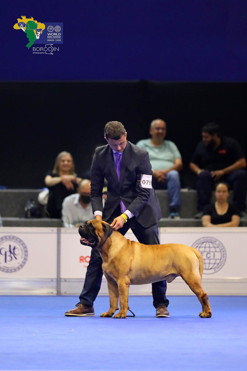 08-11.12.2022 WDS Brazil. Ph Dmitrii Borodin