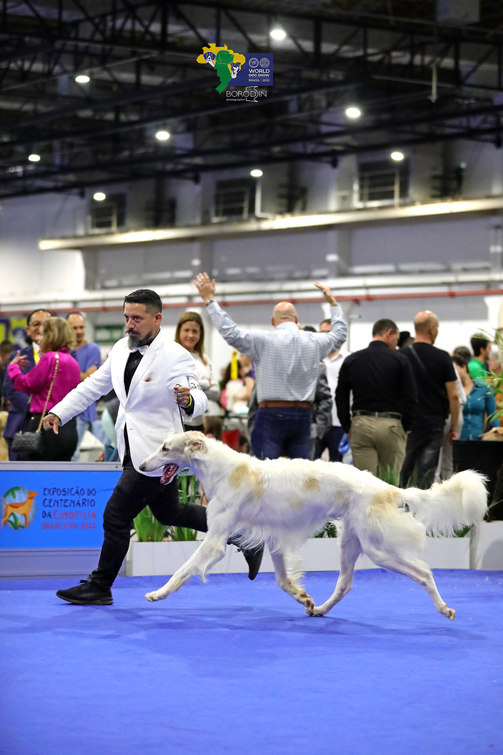 08-11.12.2022 WDS Brazil. Ph Dmitrii Borodin