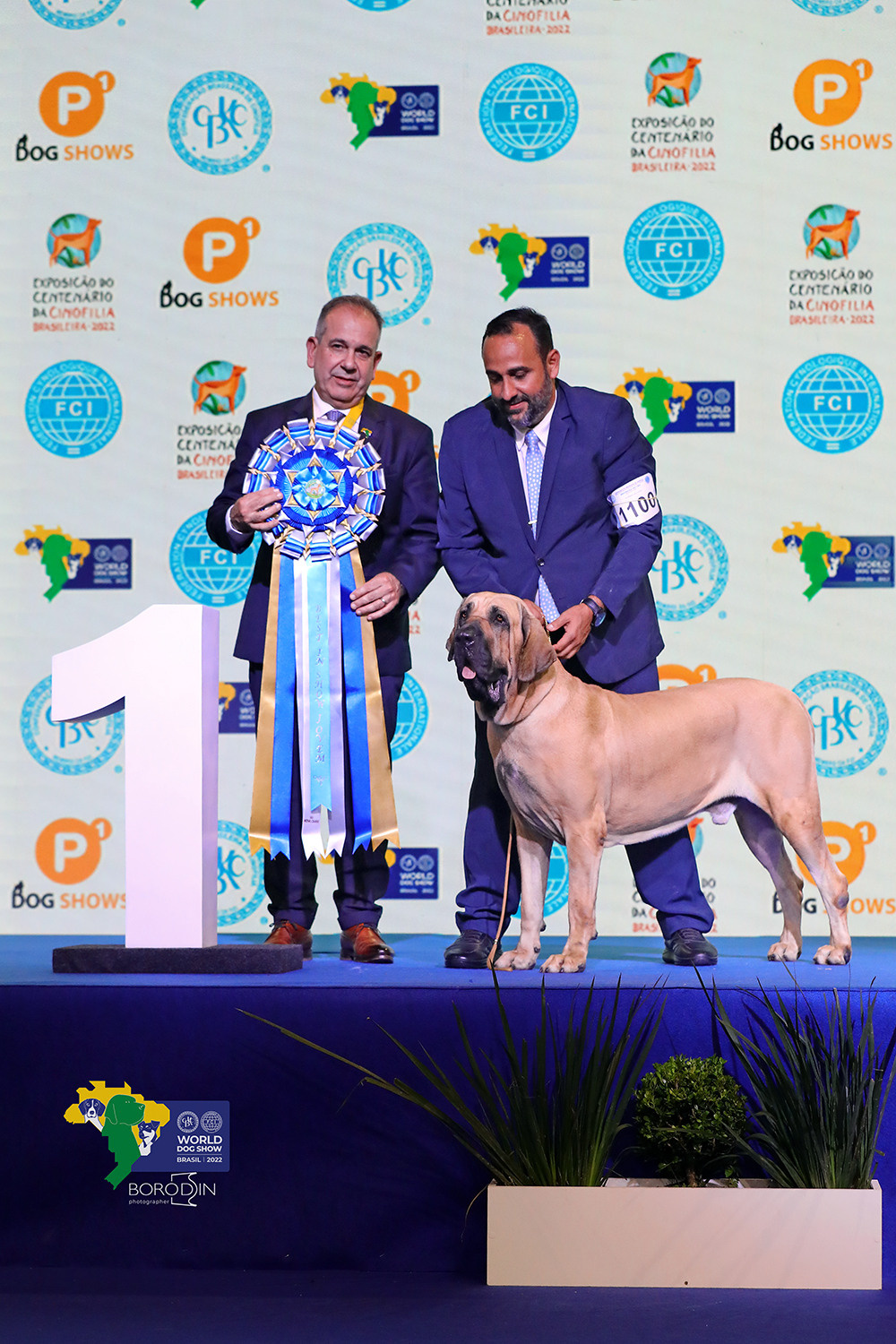 08-11.12.2022 WDS Brazil. Ph Dmitrii Borodin