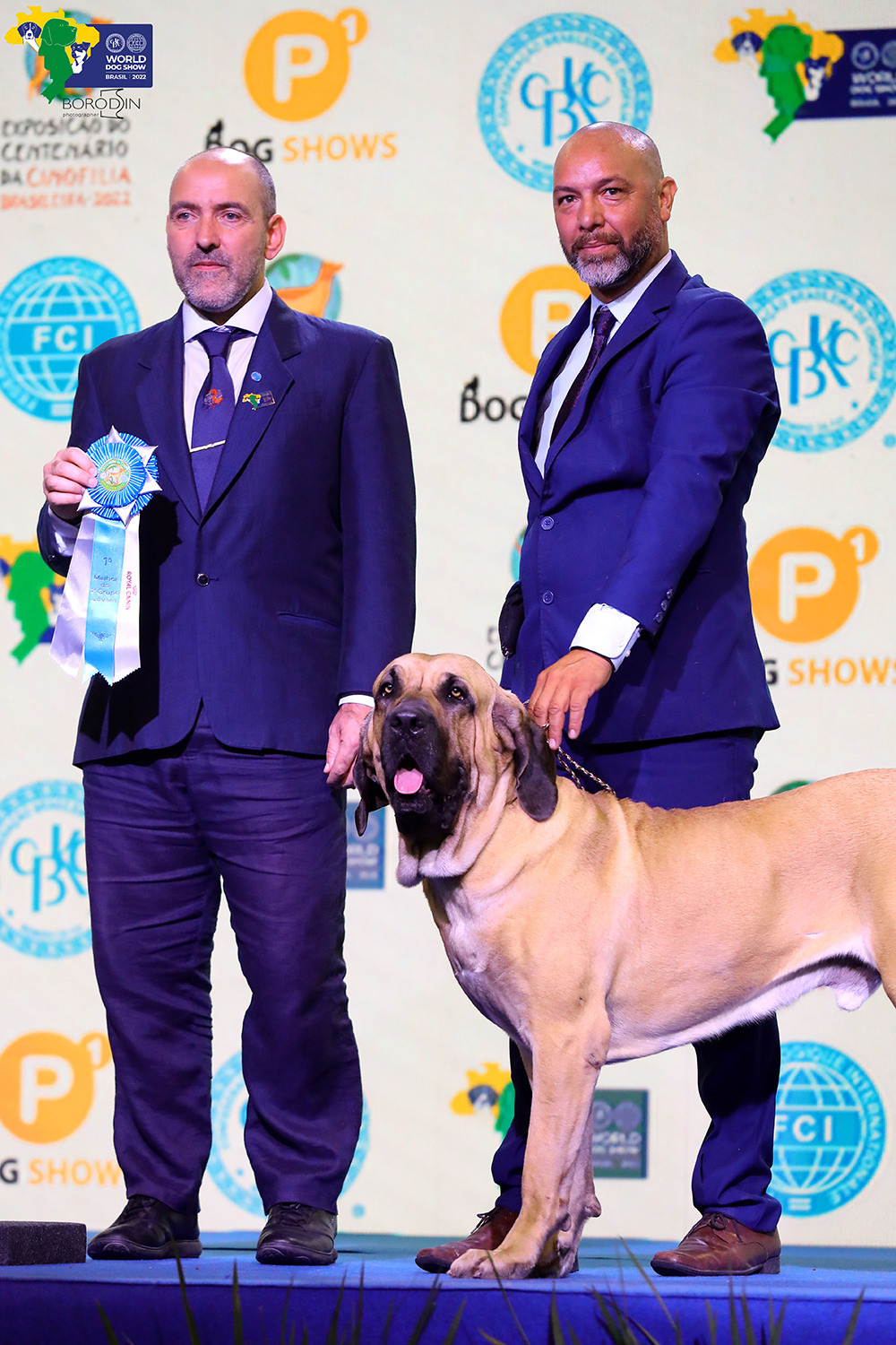 08-11.12.2022 WDS Brazil. Ph Dmitrii Borodin