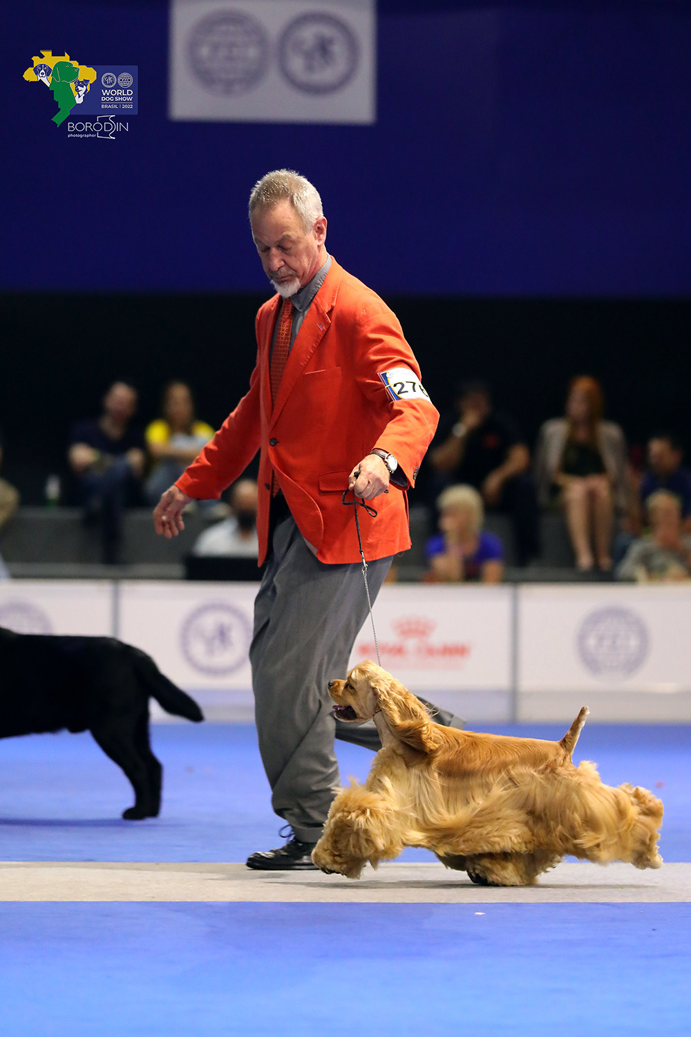 08-11.12.2022 WDS Brazil. Ph Dmitrii Borodin