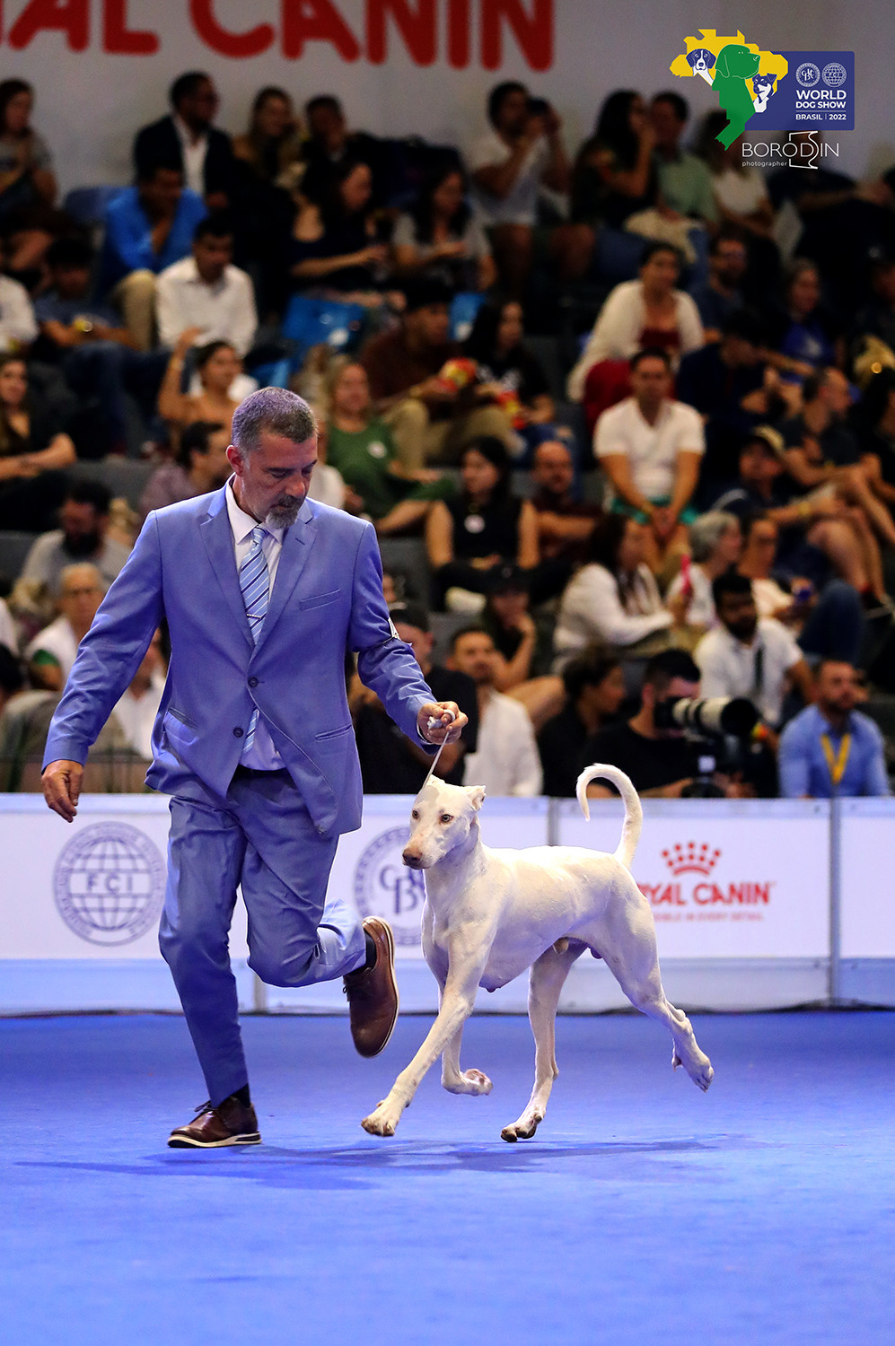 08-11.12.2022 WDS Brazil. Ph Dmitrii Borodin