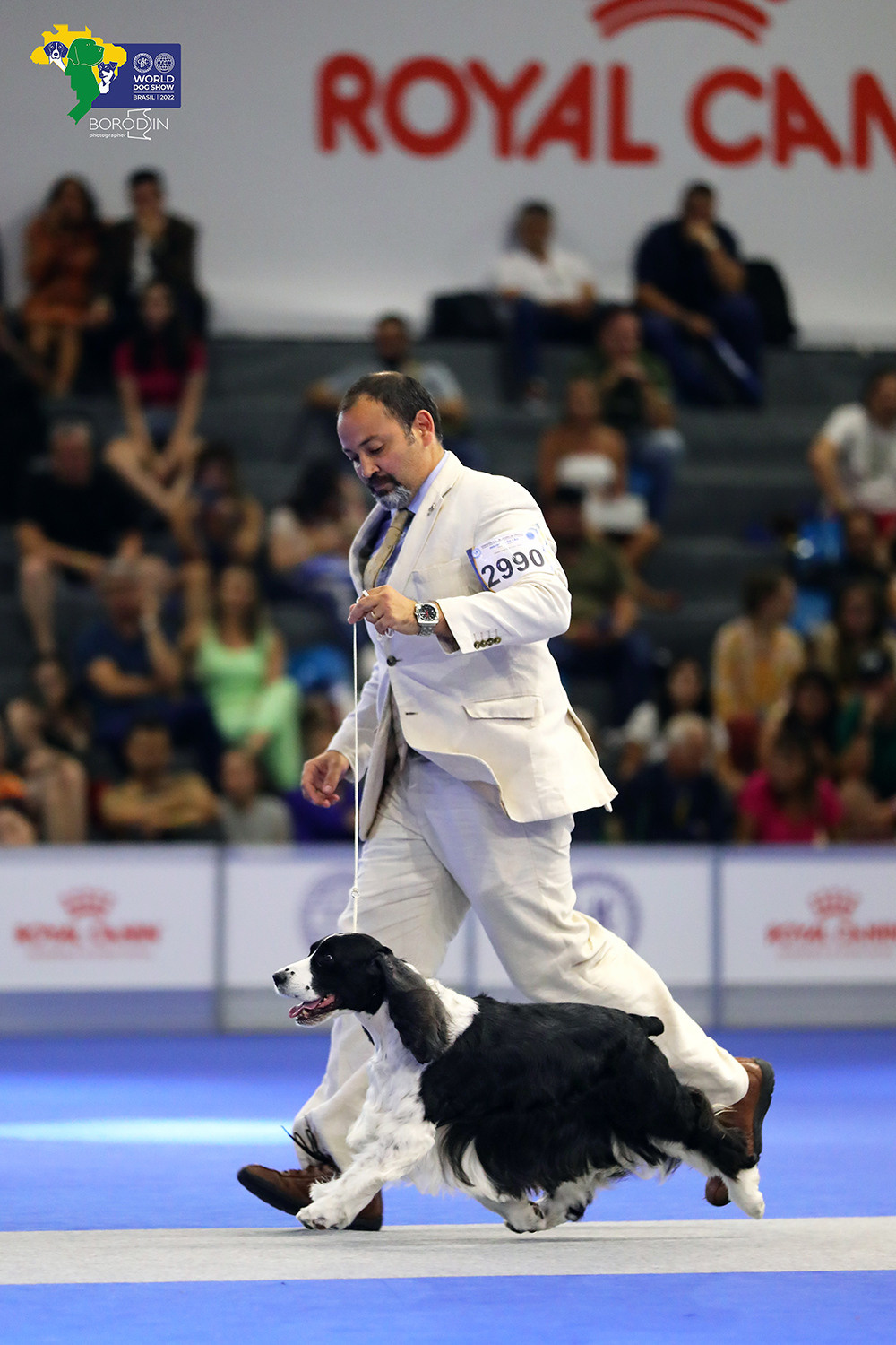 08-11.12.2022 WDS Brazil. Ph Dmitrii Borodin