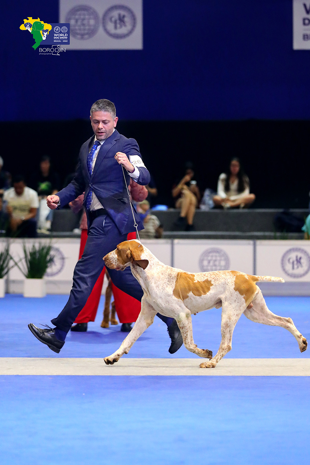 08-11.12.2022 WDS Brazil. Ph Dmitrii Borodin