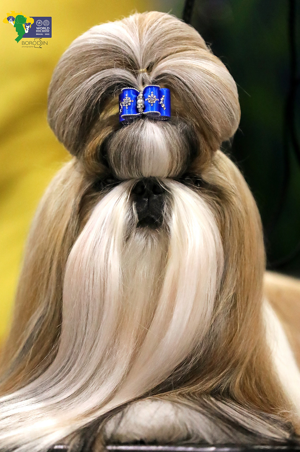 08-11.12.2022 WDS Brazil. Ph Dmitrii Borodin