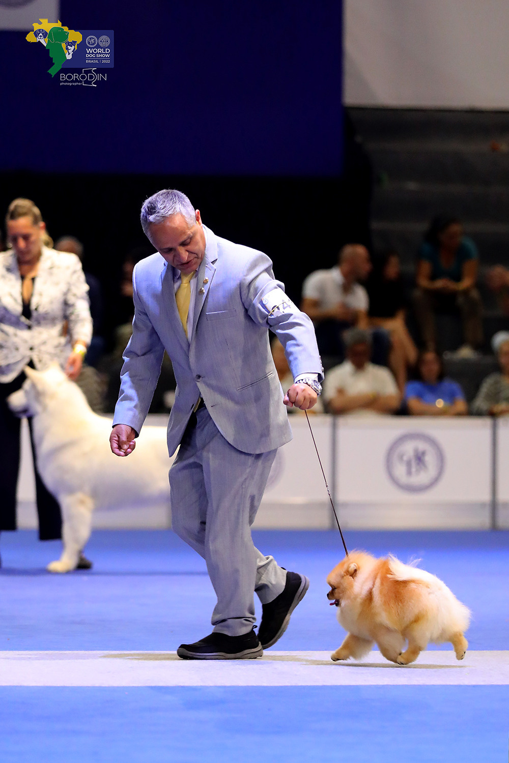 08-11.12.2022 WDS Brazil. Ph Dmitrii Borodin