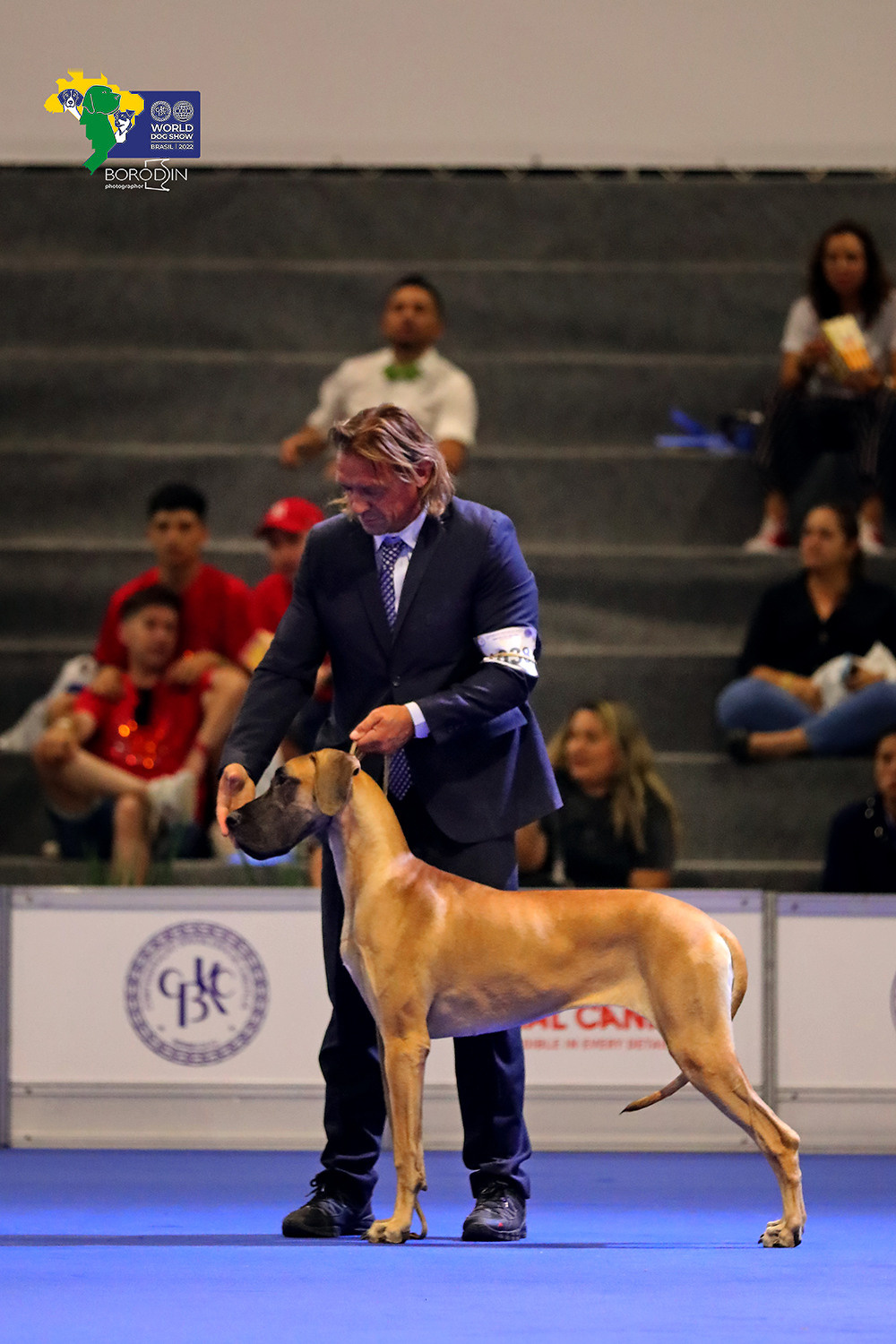 08-11.12.2022 WDS Brazil. Ph Dmitrii Borodin