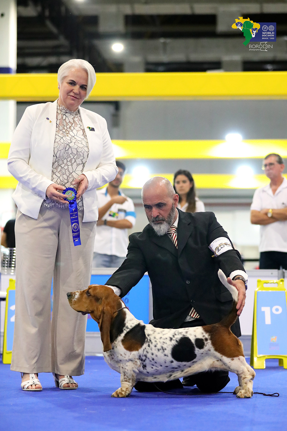 08-11.12.2022 WDS Brazil. Ph Dmitrii Borodin