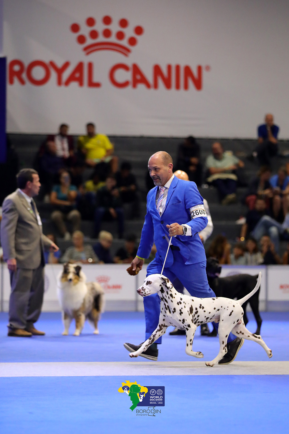 08-11.12.2022 WDS Brazil. Ph Dmitrii Borodin