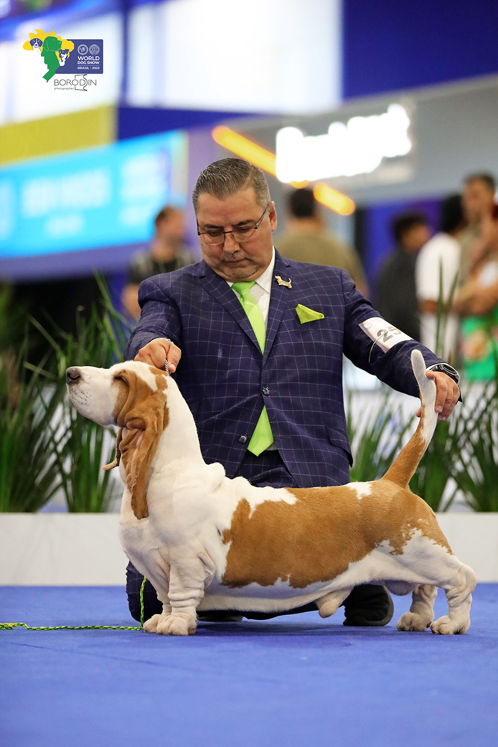 08-11.12.2022 WDS Brazil. Ph Dmitrii Borodin