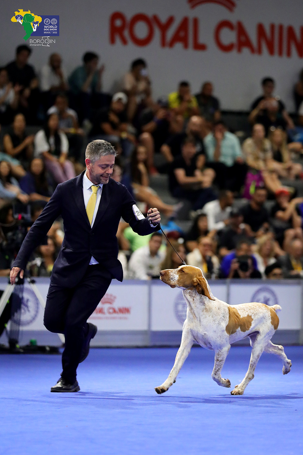 08-11.12.2022 WDS Brazil. Ph Dmitrii Borodin