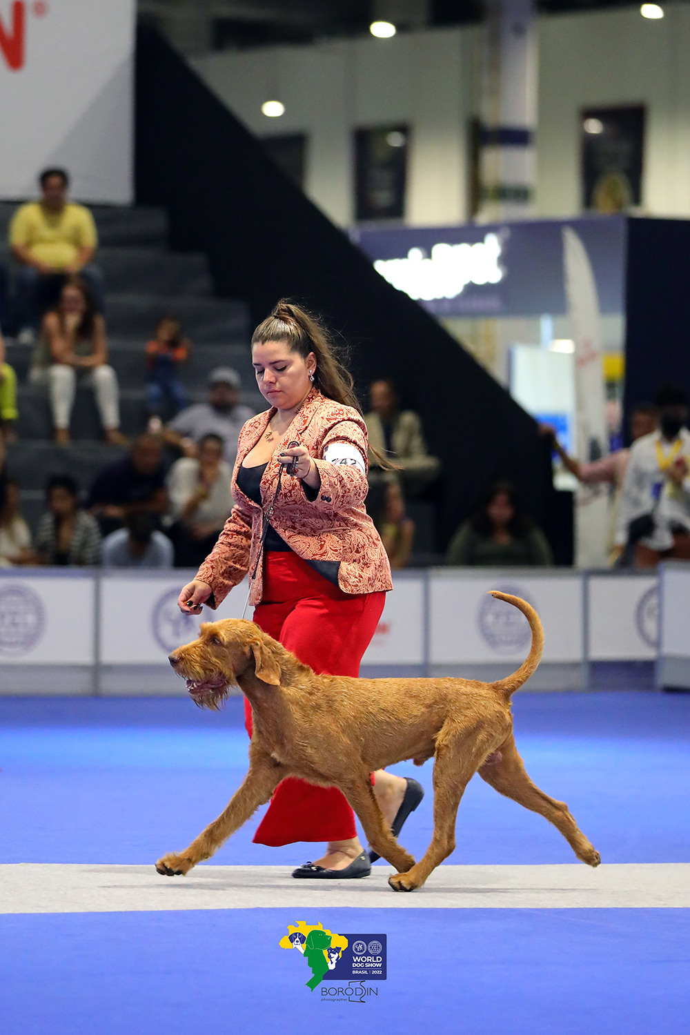 08-11.12.2022 WDS Brazil. Ph Dmitrii Borodin