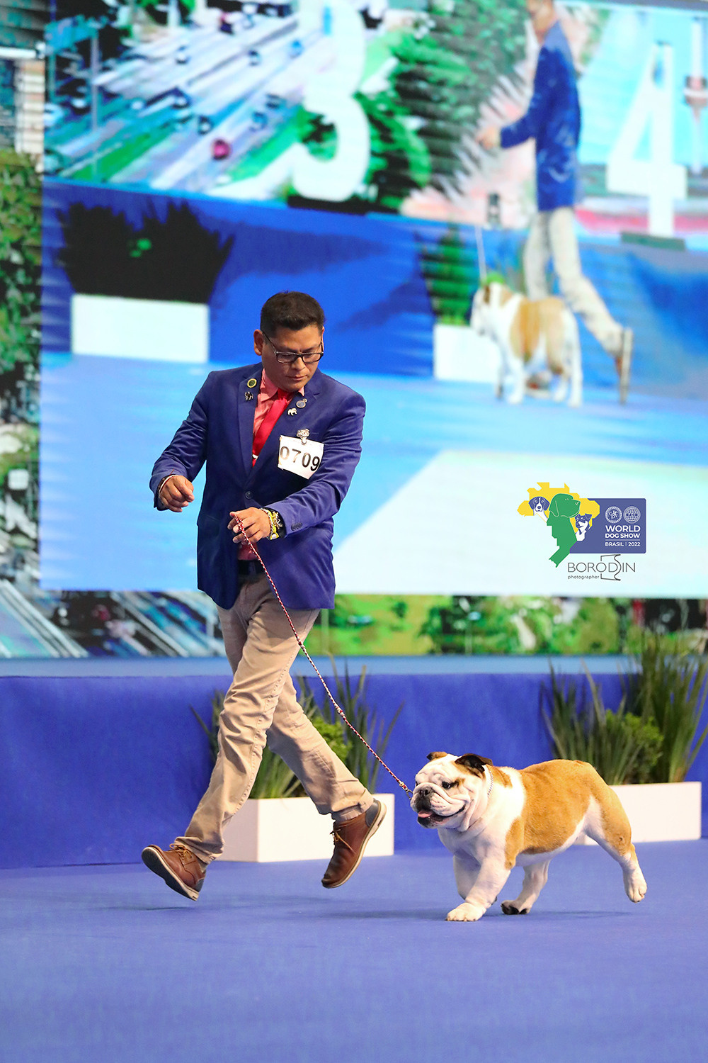 08-11.12.2022 WDS Brazil. Ph Dmitrii Borodin