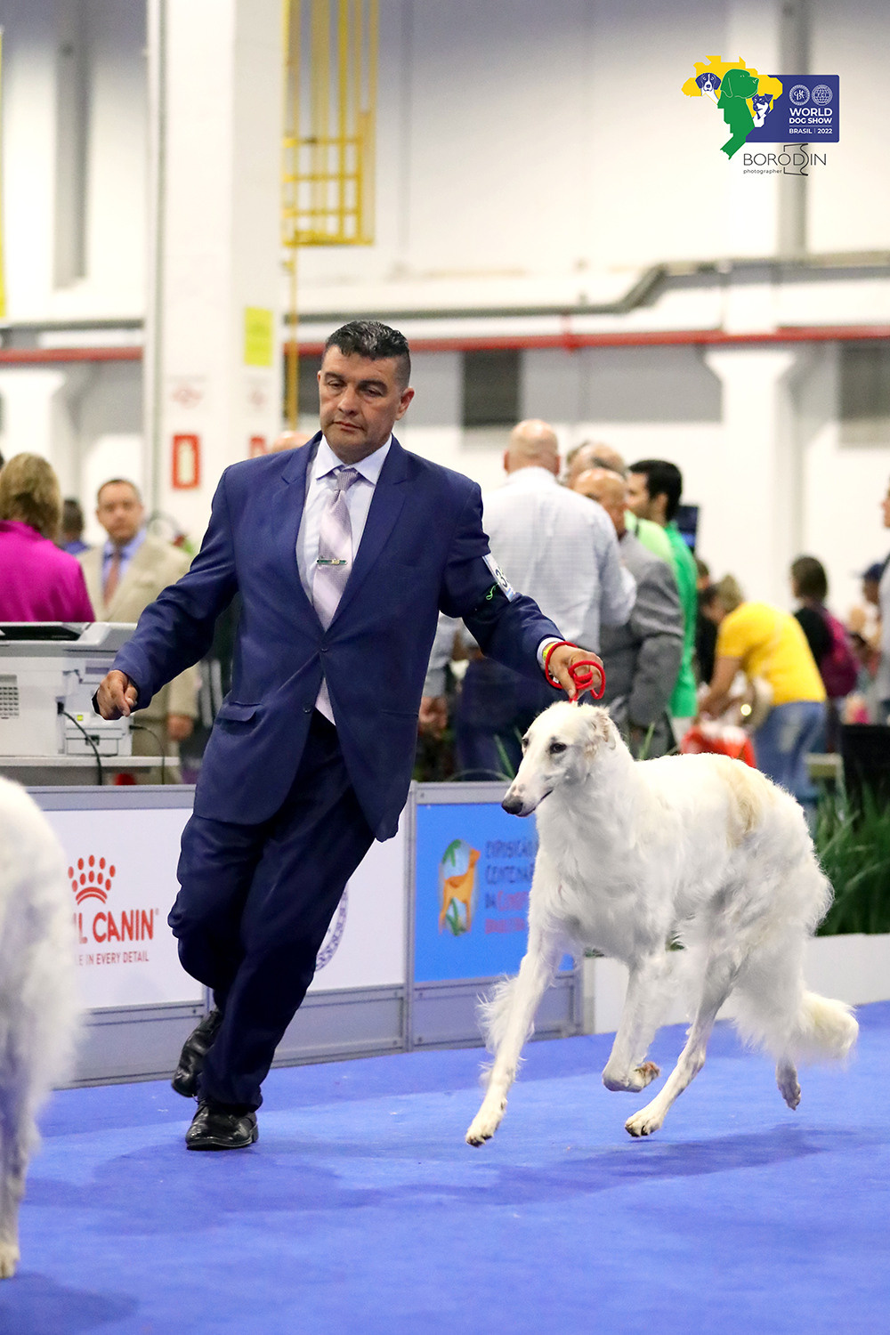 08-11.12.2022 WDS Brazil. Ph Dmitrii Borodin