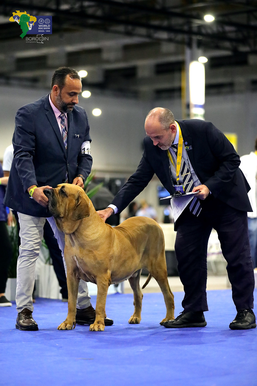 08-11.12.2022 WDS Brazil. Ph Dmitrii Borodin