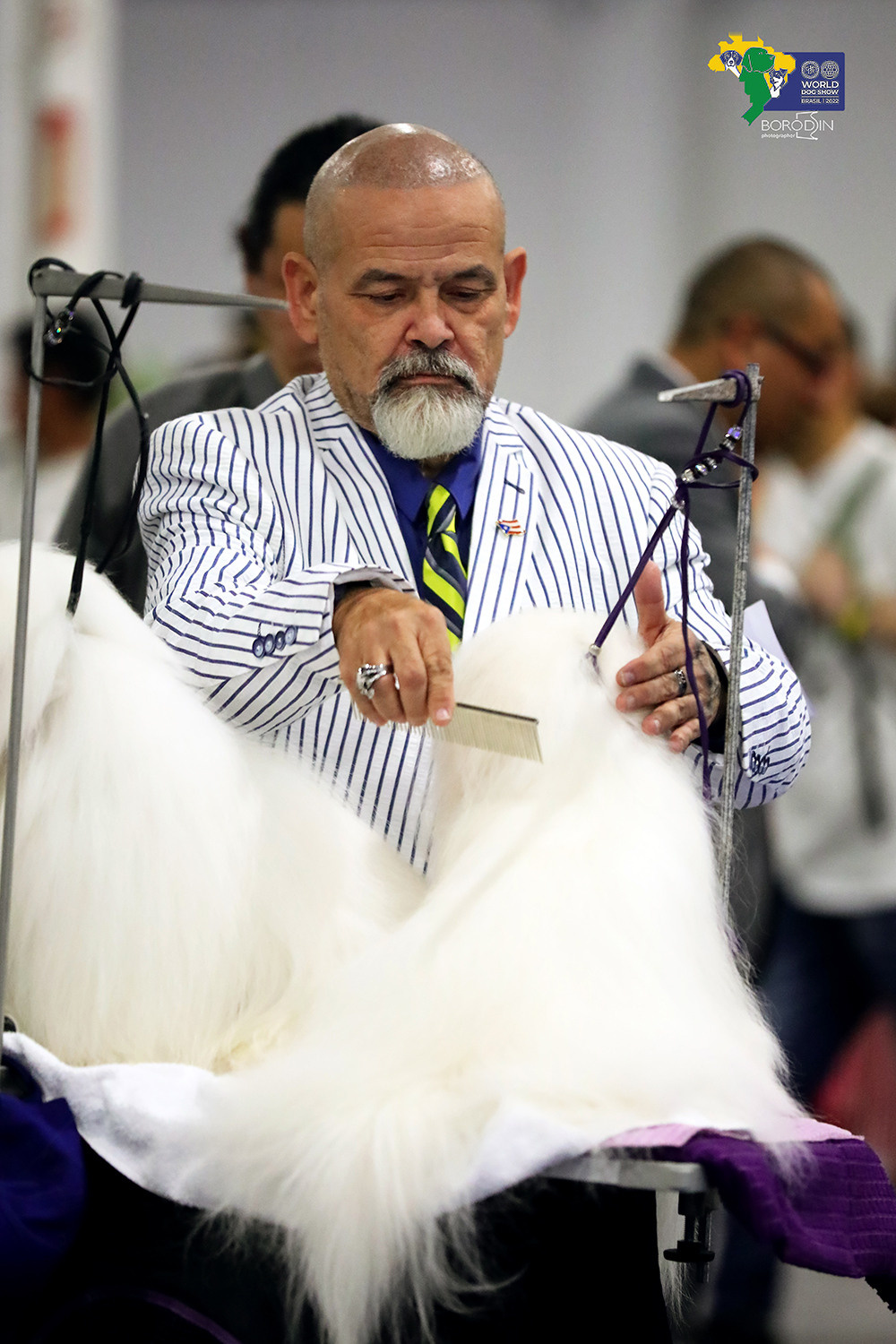 08-11.12.2022 WDS Brazil. Ph Dmitrii Borodin