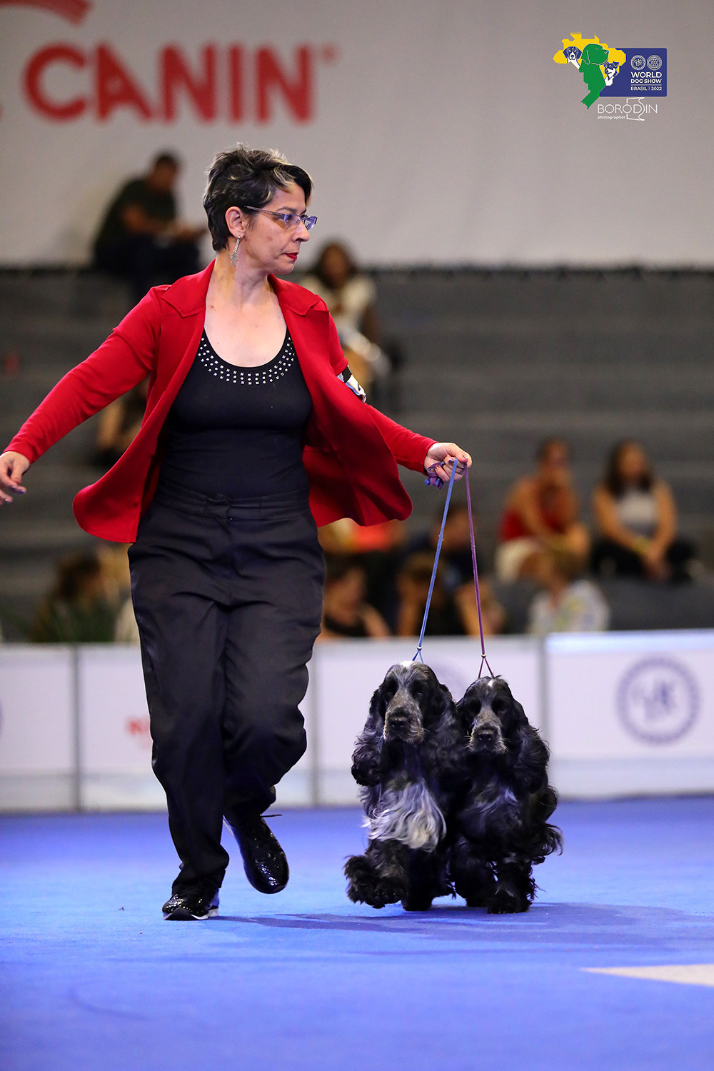 08-11.12.2022 WDS Brazil. Ph Dmitrii Borodin