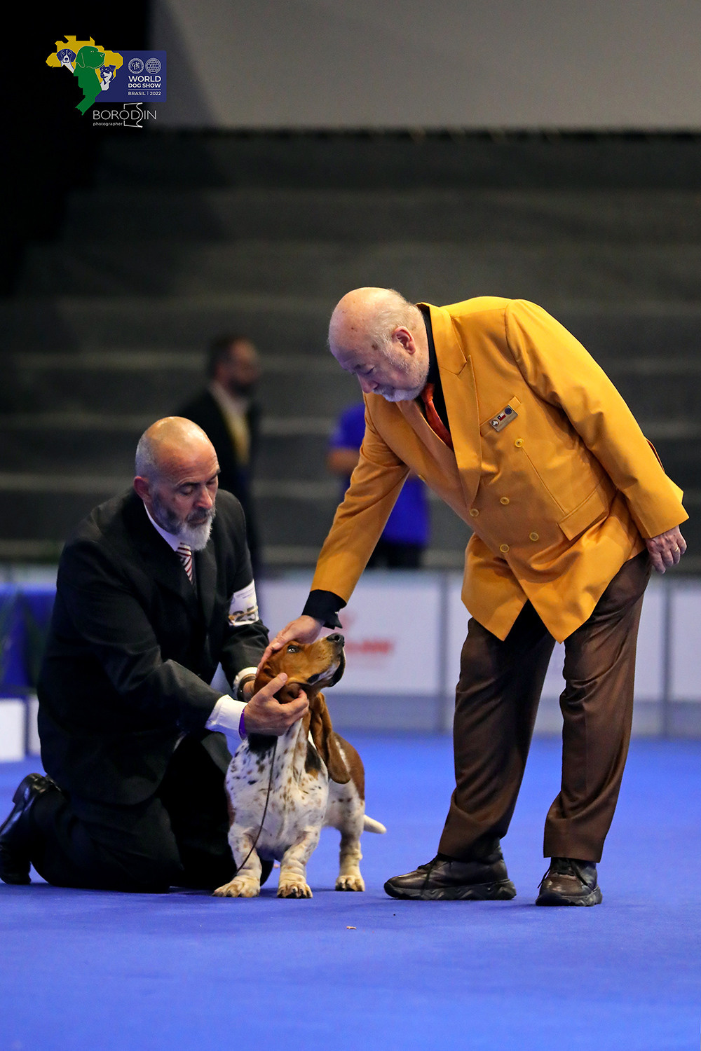 08-11.12.2022 WDS Brazil. Ph Dmitrii Borodin