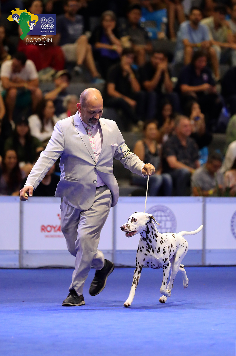 08-11.12.2022 WDS Brazil. Ph Dmitrii Borodin