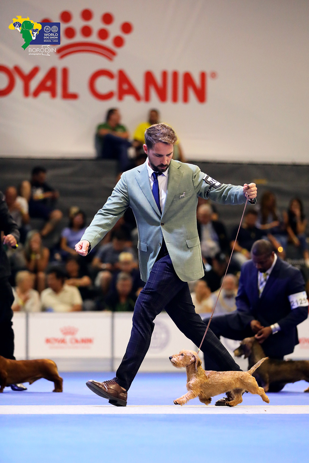 08-11.12.2022 WDS Brazil. Ph Dmitrii Borodin