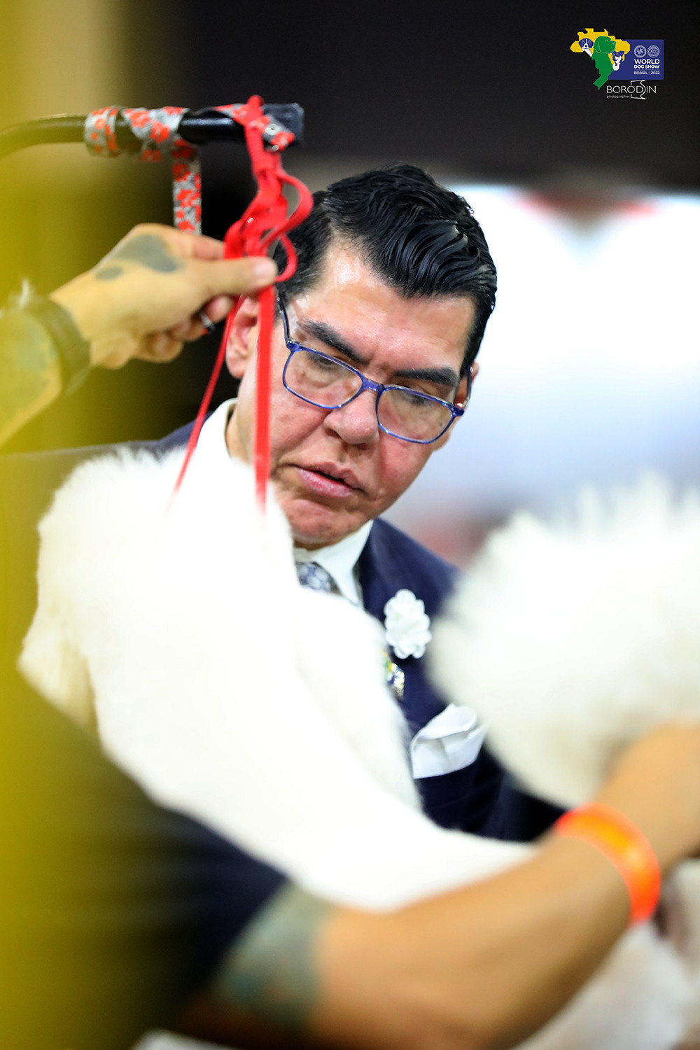 08-11.12.2022 WDS Brazil. Ph Dmitrii Borodin