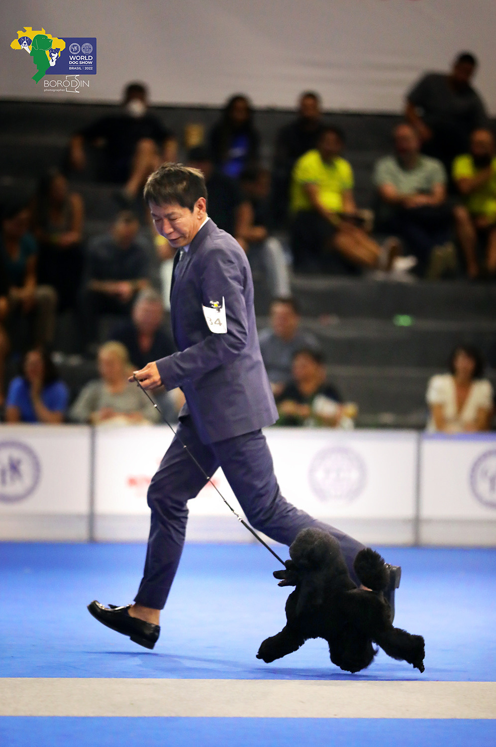 08-11.12.2022 WDS Brazil. Ph Dmitrii Borodin