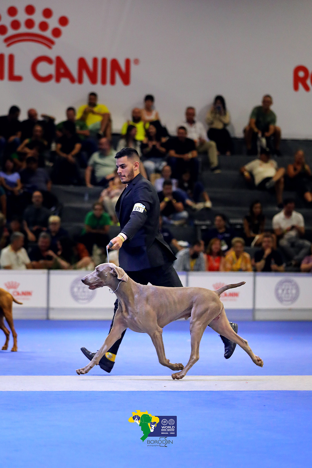 08-11.12.2022 WDS Brazil. Ph Dmitrii Borodin