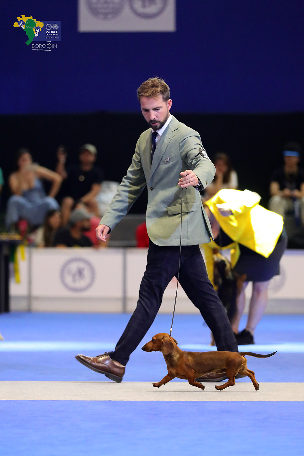 08-11.12.2022 WDS Brazil. Ph Dmitrii Borodin