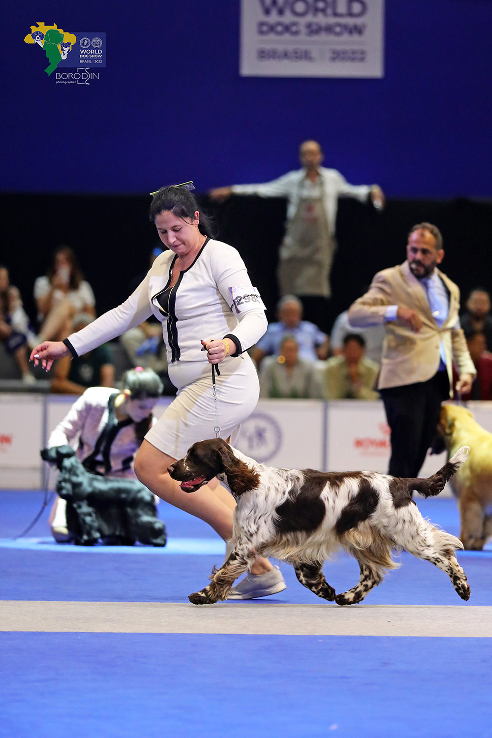 08-11.12.2022 WDS Brazil. Ph Dmitrii Borodin