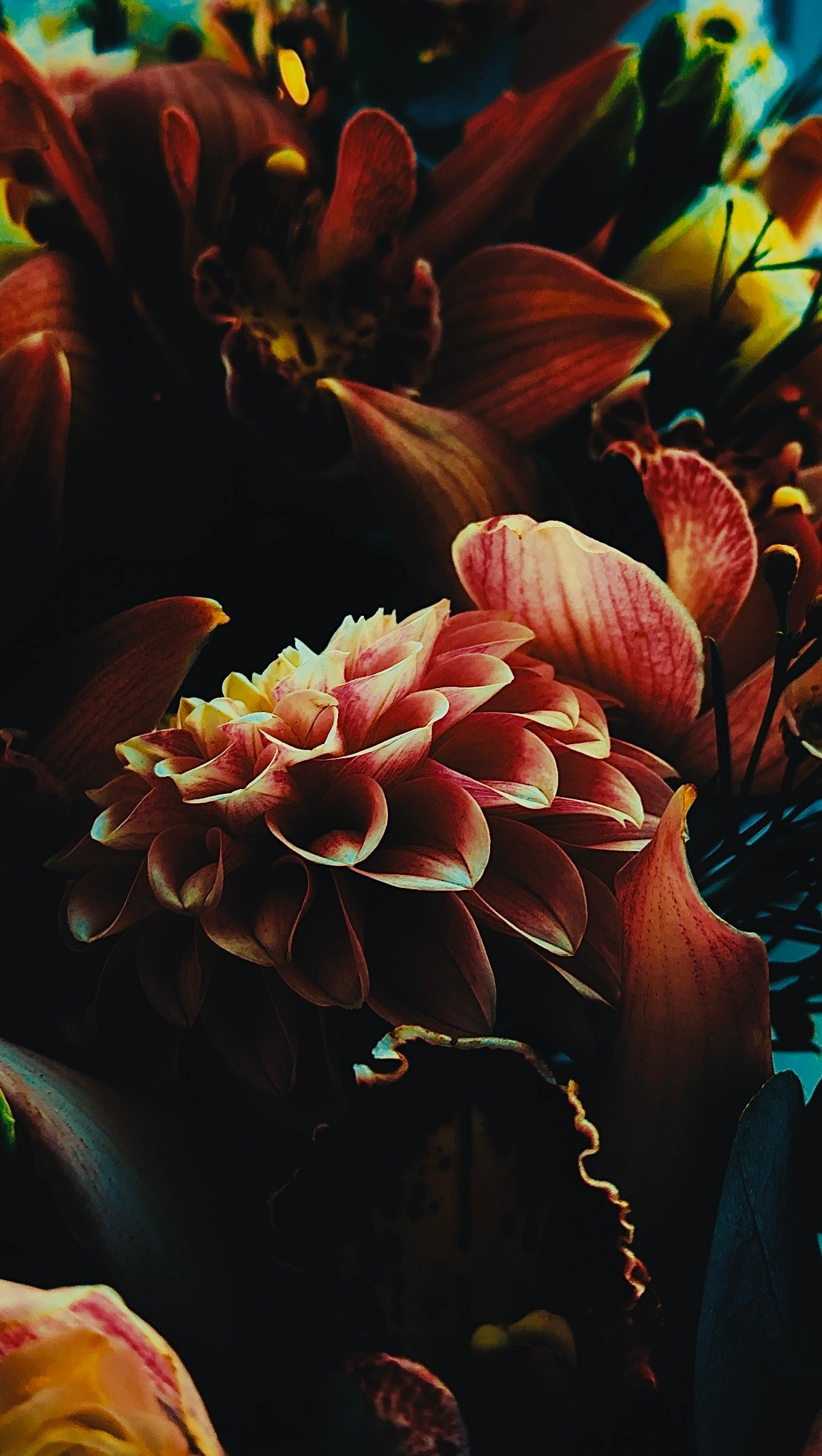 Коммерческие съемки. Фотограф контент-мейкер в Москве