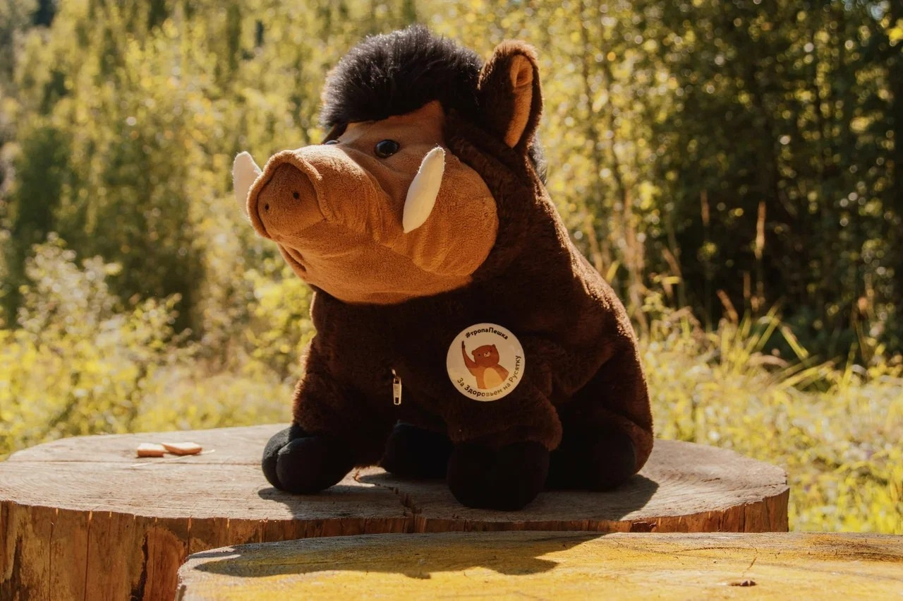 Экскурсии по Тропе Пешка, Вязьма. Индивидуальный фотограф в Москве