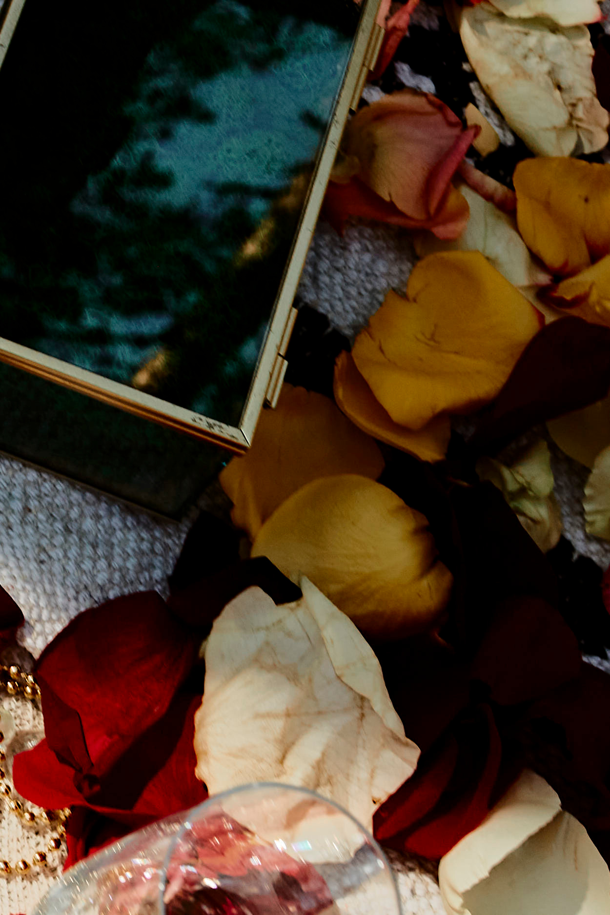 Ника & Вадим. Фотограф