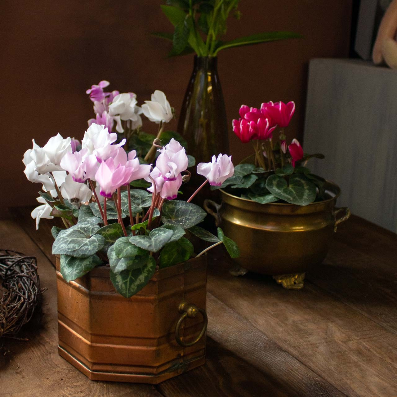 Семейный и детский фотограф в Ярославле