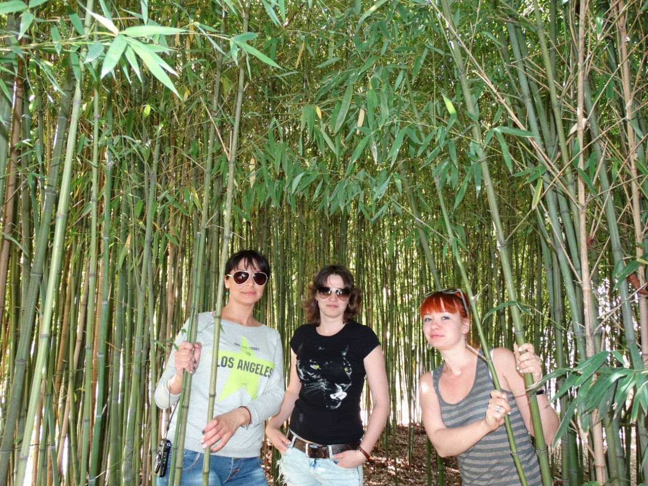 Путешествие в Азербайджан, Грузию и Армению | 01-09.05.2015. Галерея Фантим