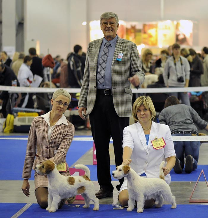 РОССИЯ 2012. Lovely-Orange питомник джек рассел терьеров