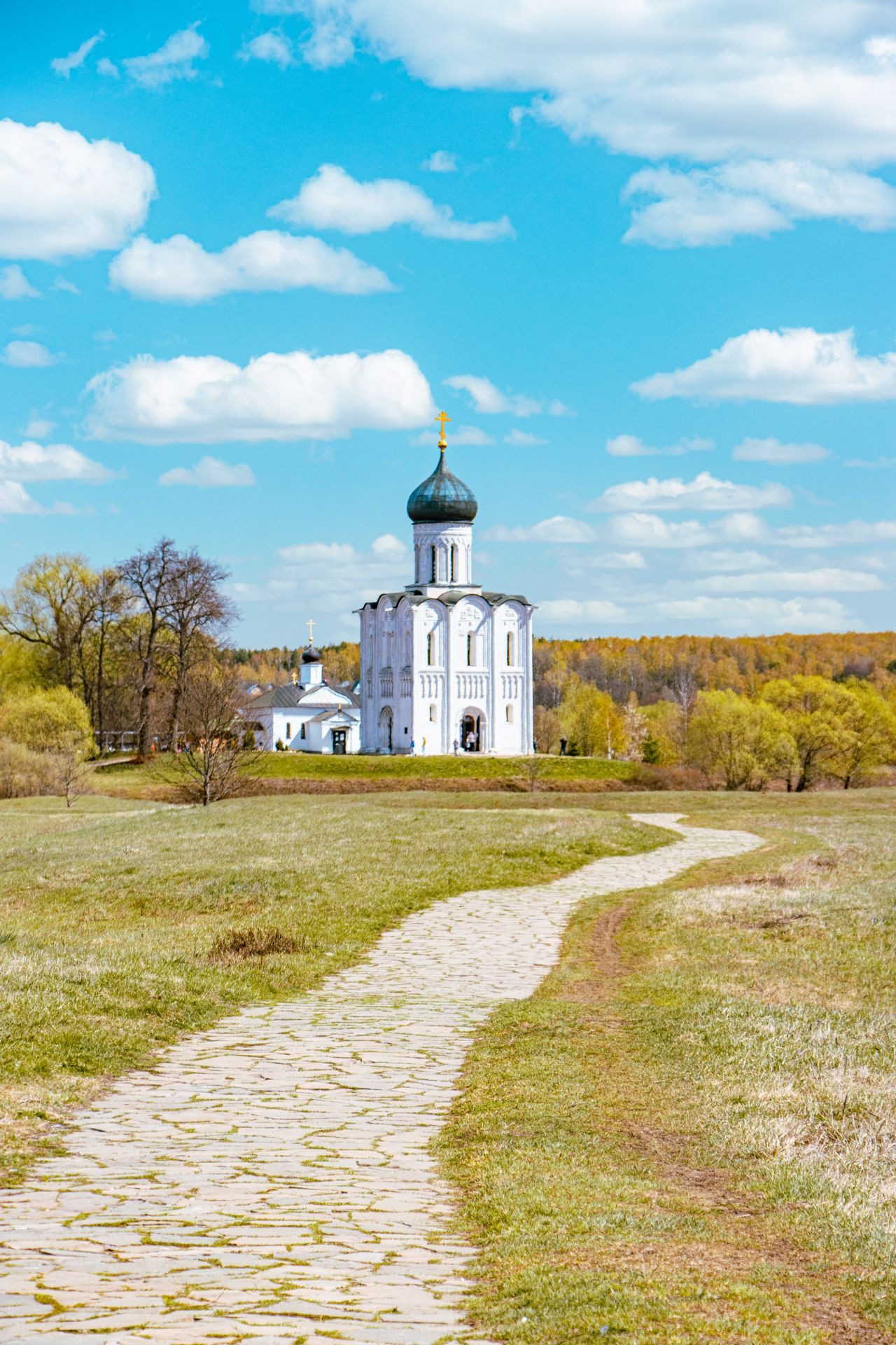 Покрова на Нерли г. Владимир. Leclerc-studio