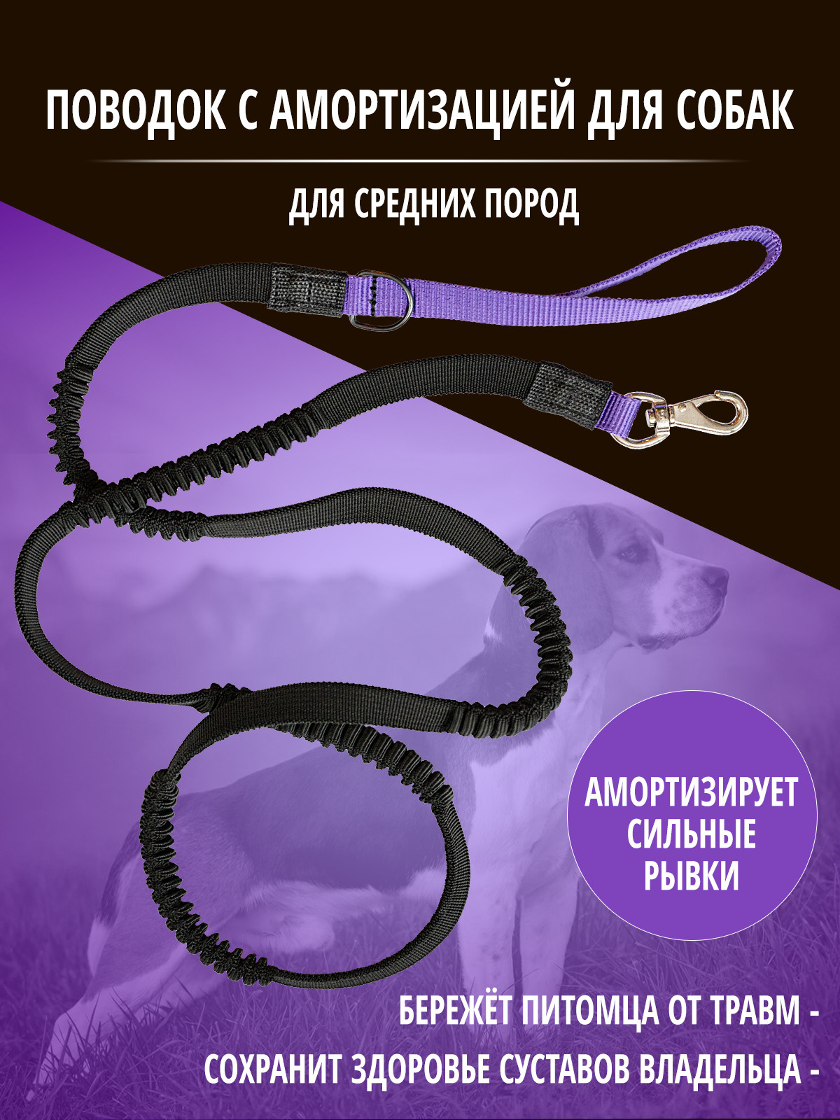 Инфографика. Профессиональный фотограф в Нижнем Новгороде — ФотоLEON