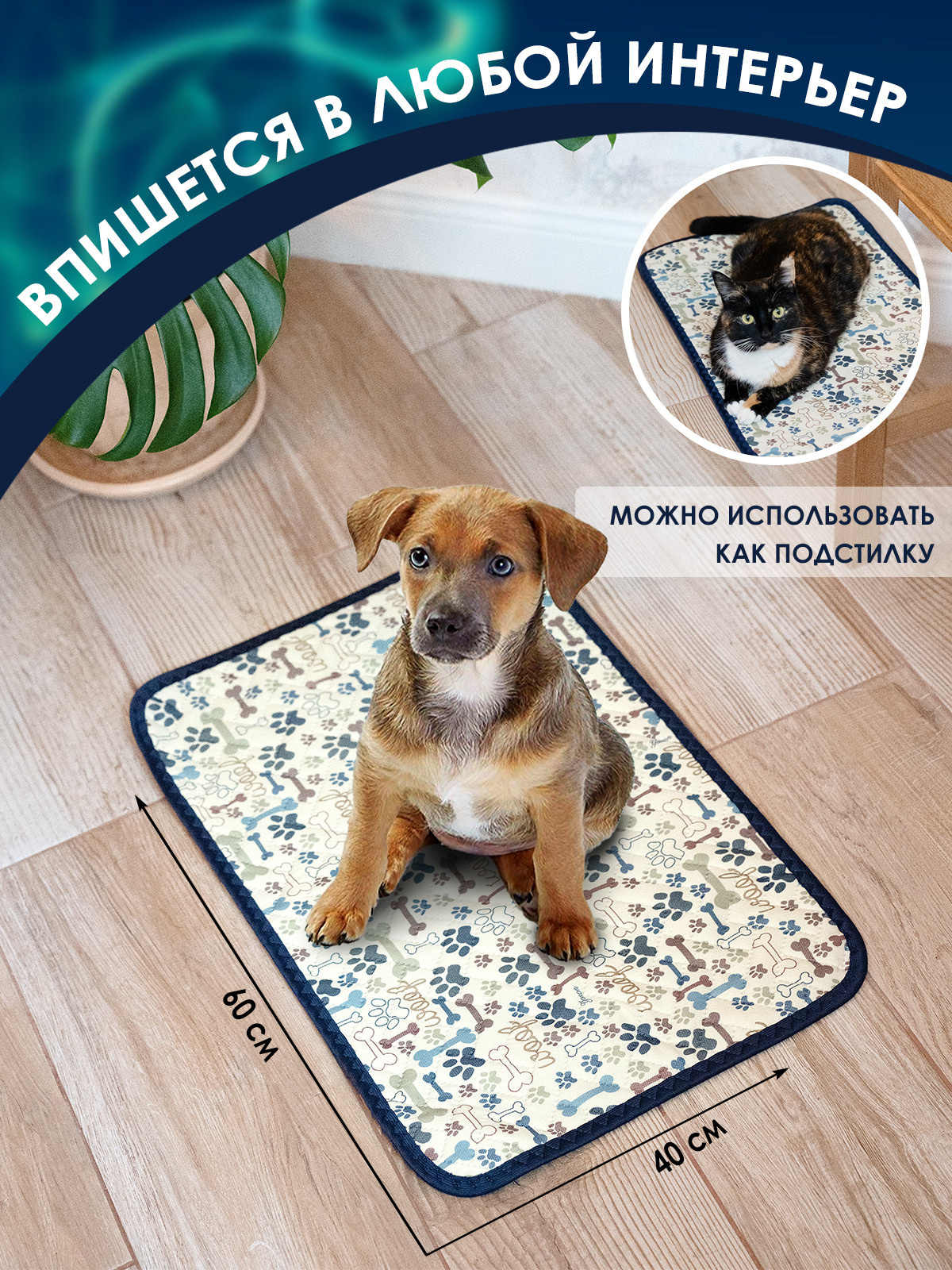 Инфографика. Профессиональный фотограф в Нижнем Новгороде — ФотоLEON