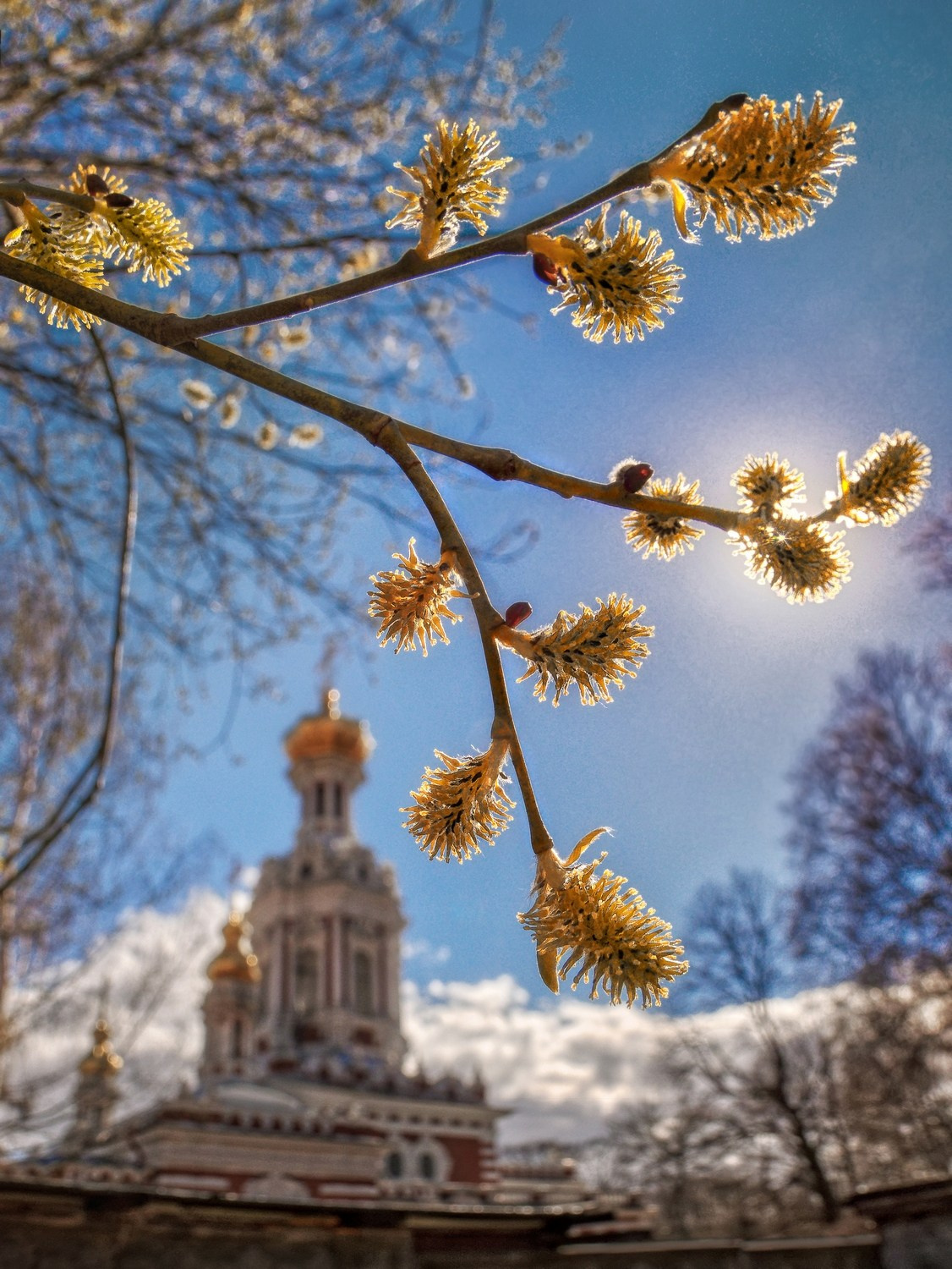Город. Фотограф Александр Петросян