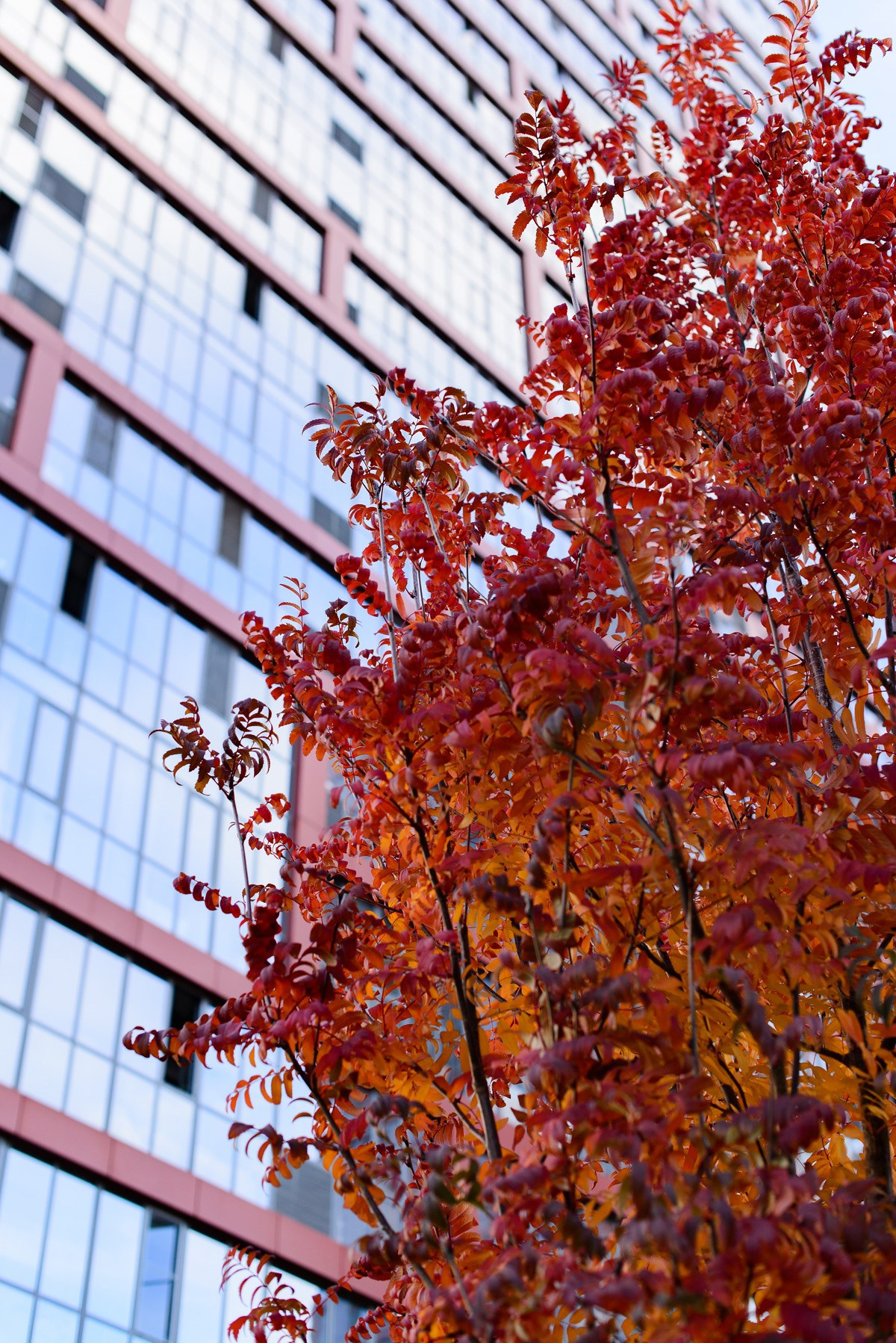 ЖК Ясный Берег. Фотограф Сергей Сергеев