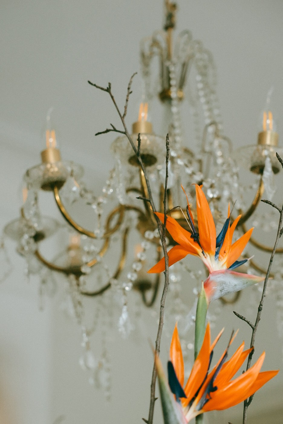 It’s a BOY 💙. Фотограф Нижний Новгород