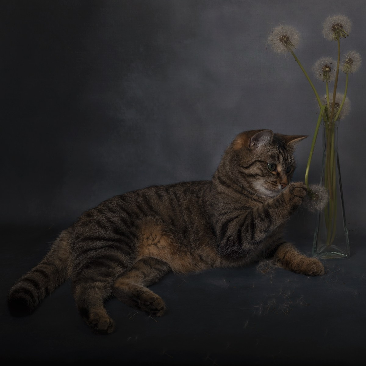 Разное. Фотограф Александр Чазов