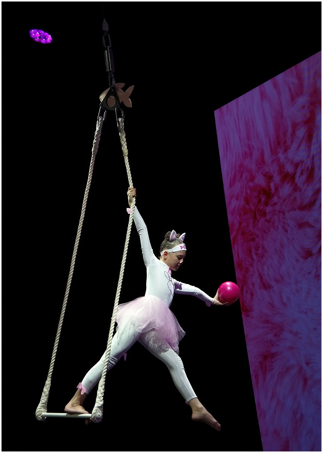 Фестиваль цирковых искусств и воздушной гимнастики «Империя талантов». Санкт-Петербург. Вадим Шейдин