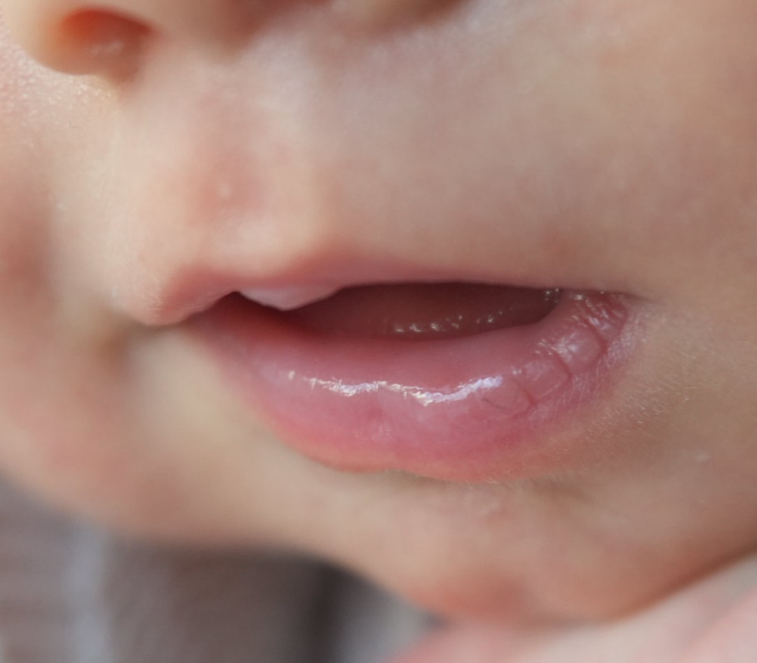 Макро снимки. Фотограф новорожденных в Екатеринбурге Екатерина Алексюк