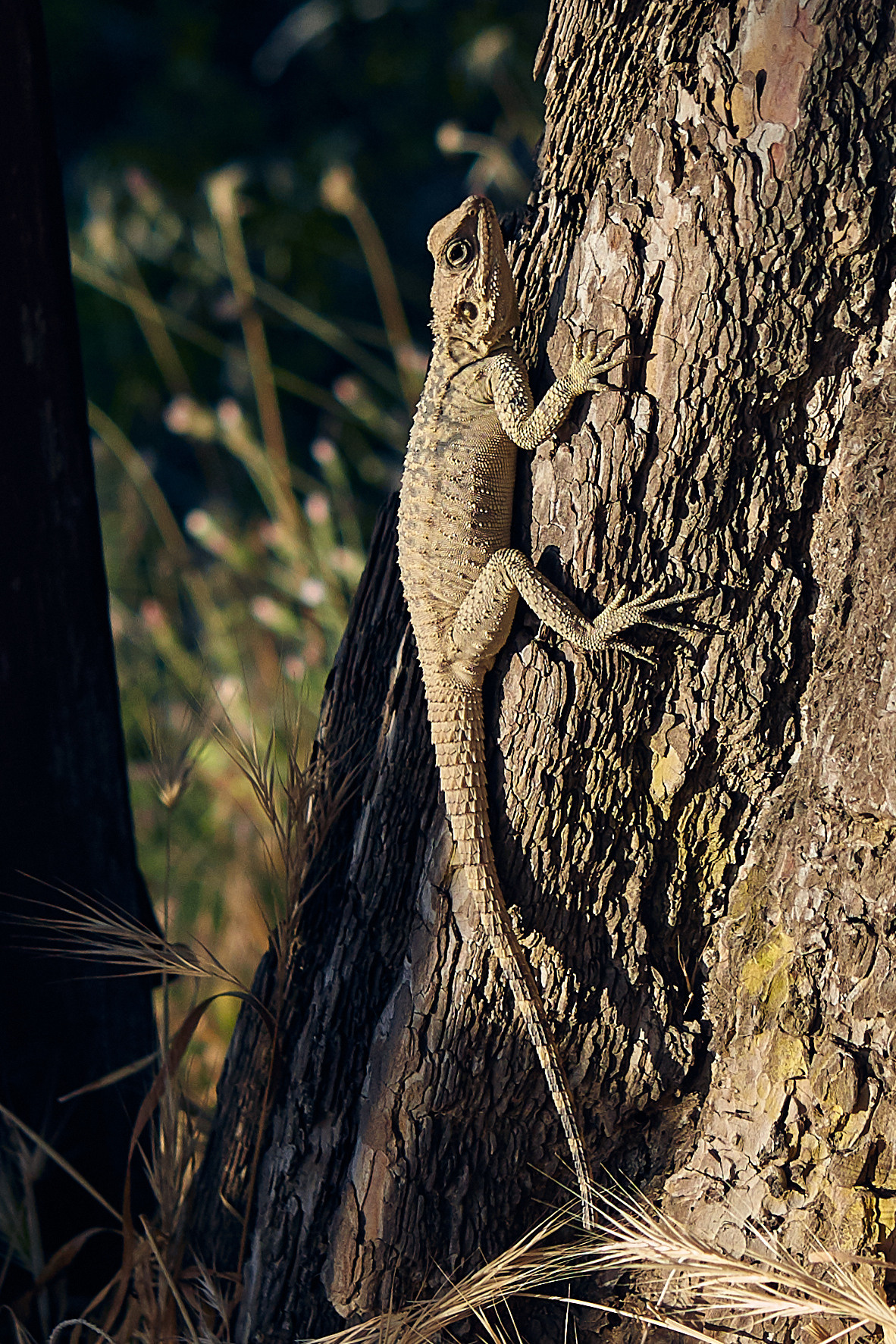 Cyprus / 2023. Aleksandr Kobtsev