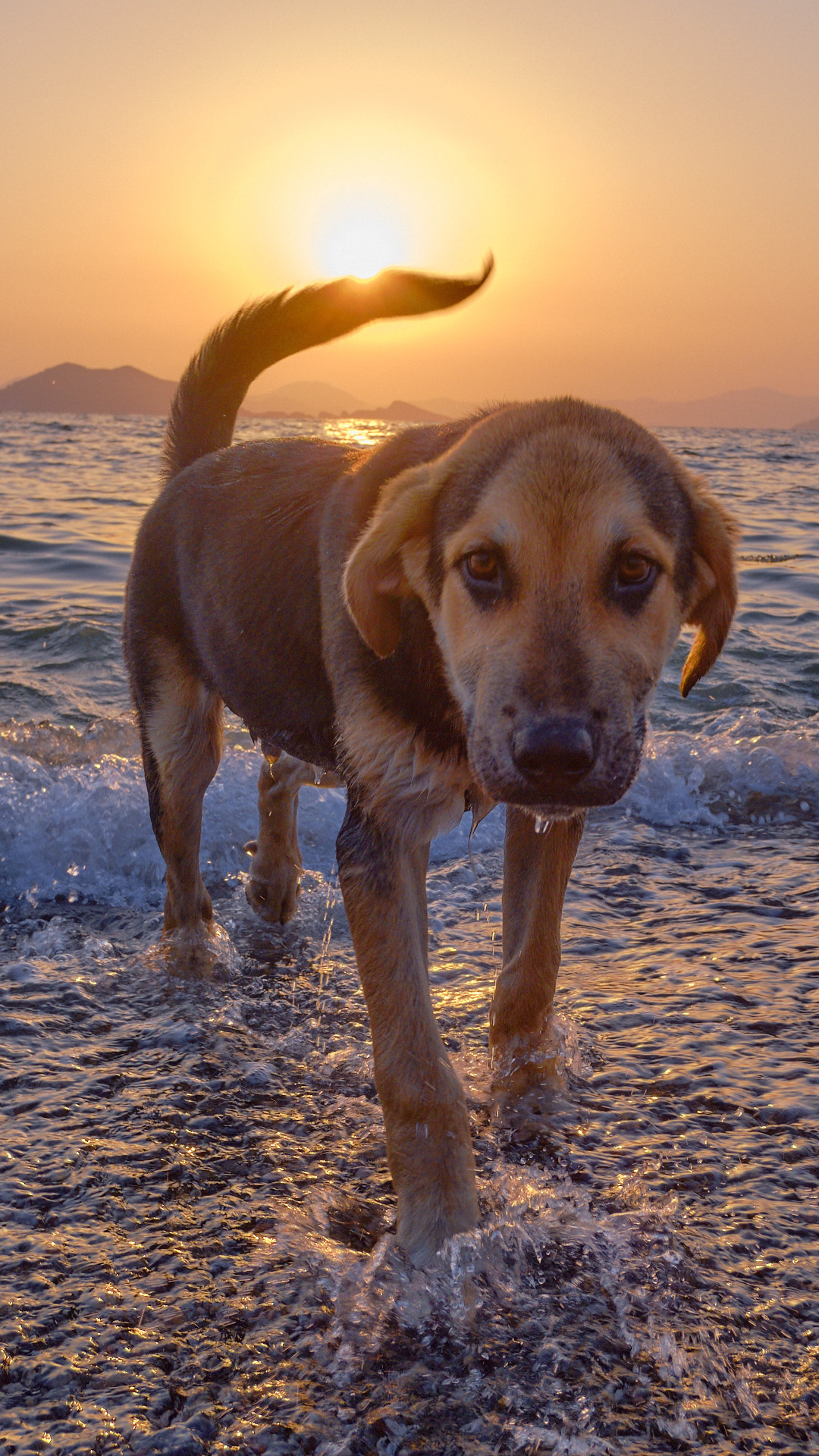 Mediterranean sea. Aleksandr Kobtsev