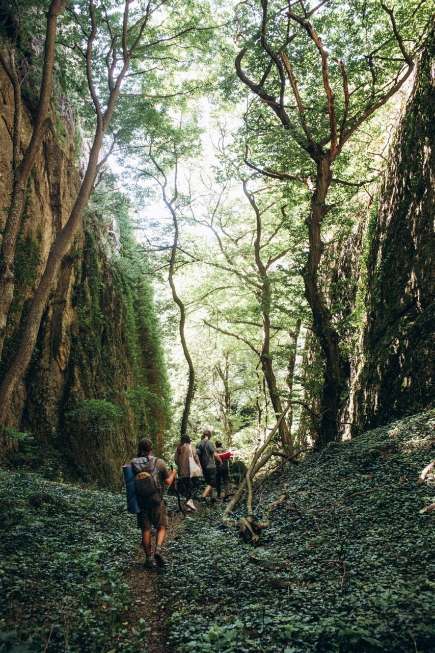 Биртвиси, Грузия 🇬🇪 «Honey Trip». Anita_photo