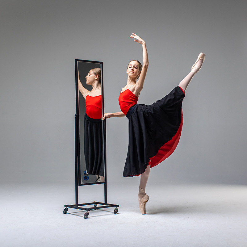 Юбки двусторонние Zidans разных цветов напрокат бесплатно. Балетный фотограф Алина Ханько — Душа Балета