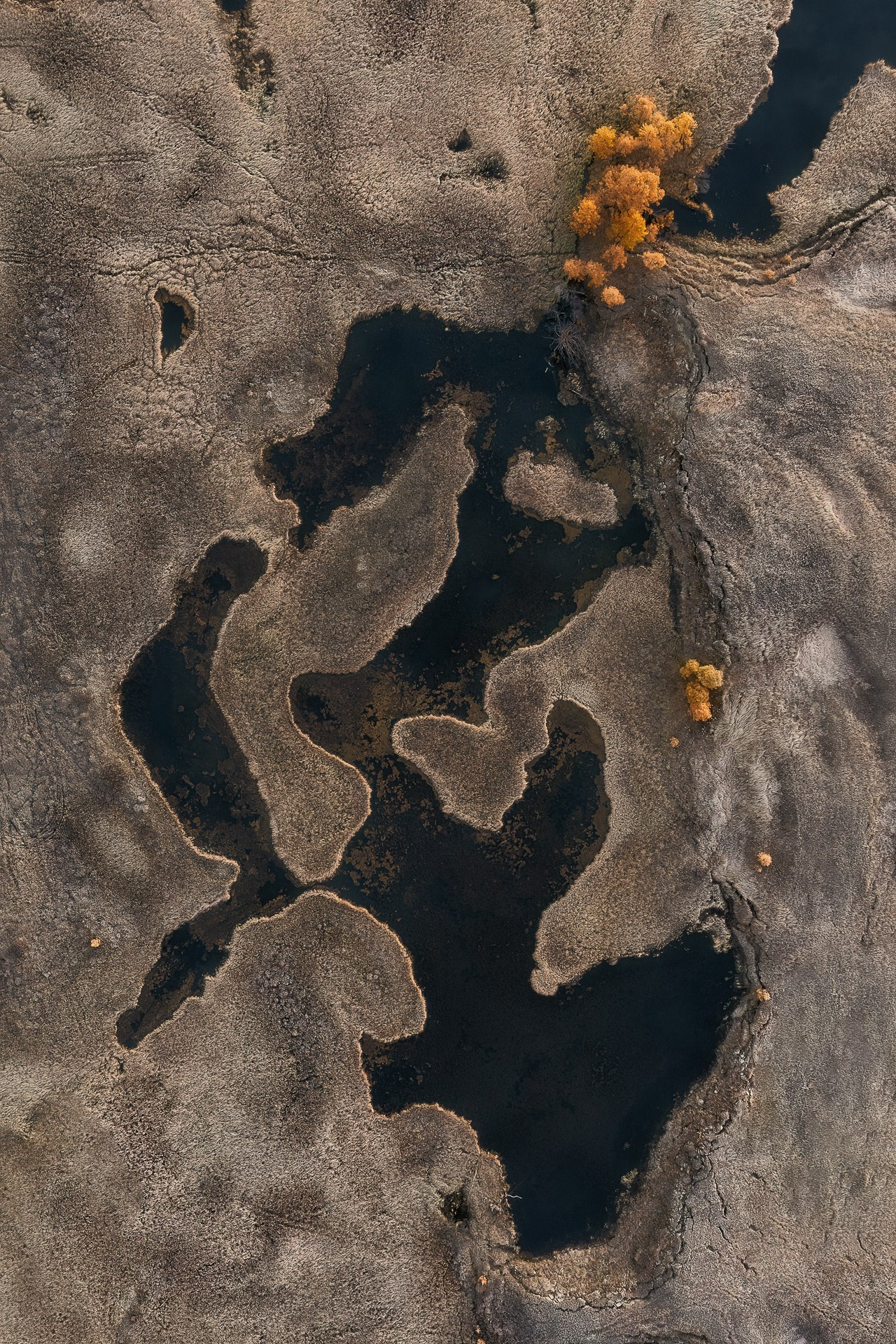 АЛТАЙ. Фототуры и обучение пейзажной фотографии