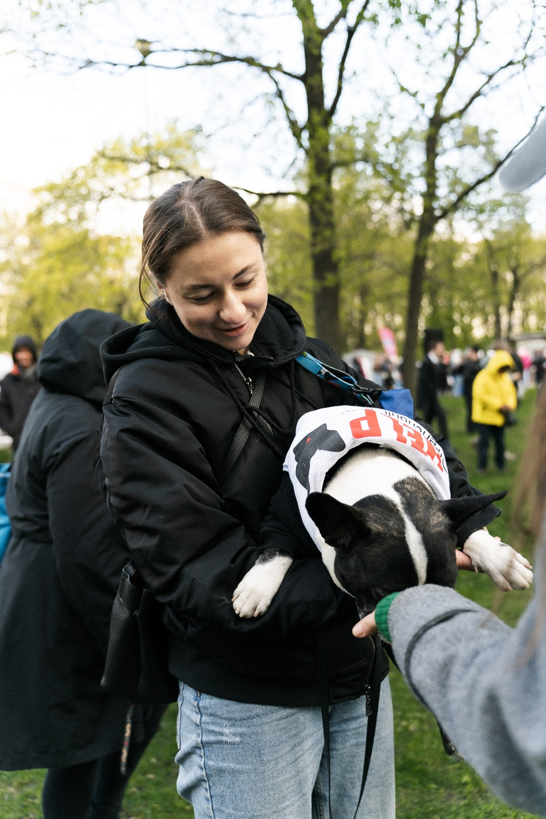 Парад Бульдогов. Axenov_eugene